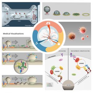 MedicalVisualisation_01