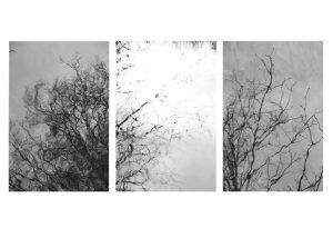 Photo_refelctions_01